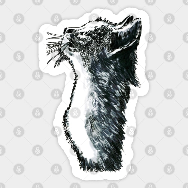 Cute Cat. Sticker by FanitsaArt